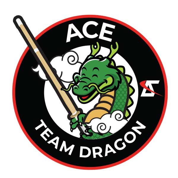 Ace Kendo Academy in Chantilly, Virginia - Martial Arts for Children - Dragon Class