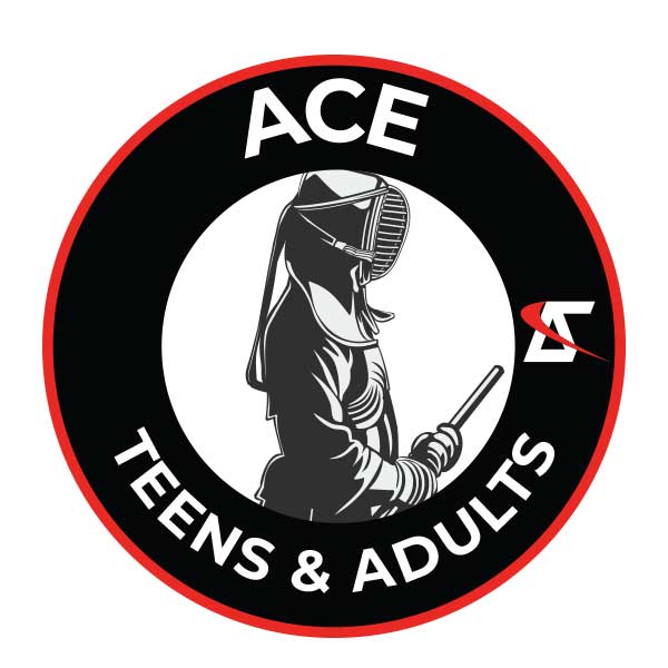 Ace Kendo Academy in Chantilly, Virginia - Martial Arts for Kids - Turtle Class